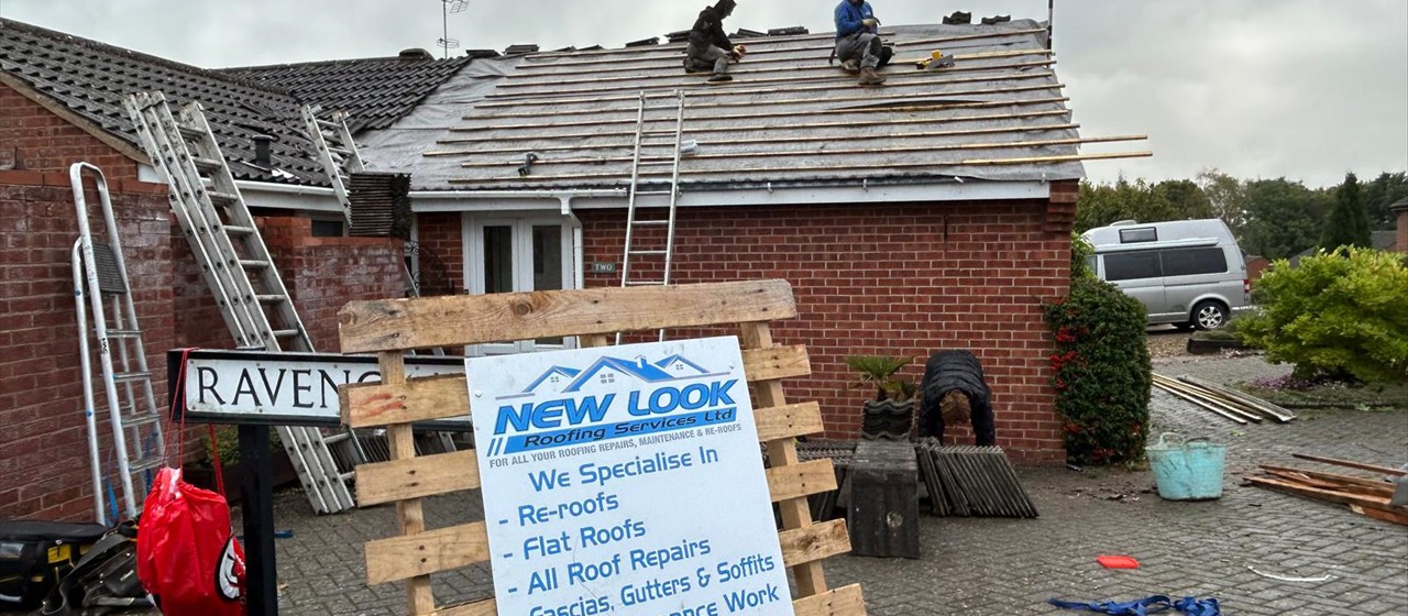 Professional Roofers